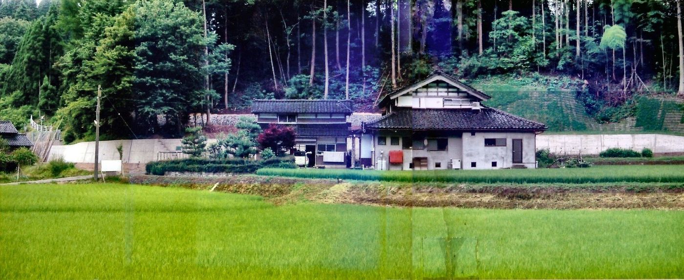 集落と田んぼの全景