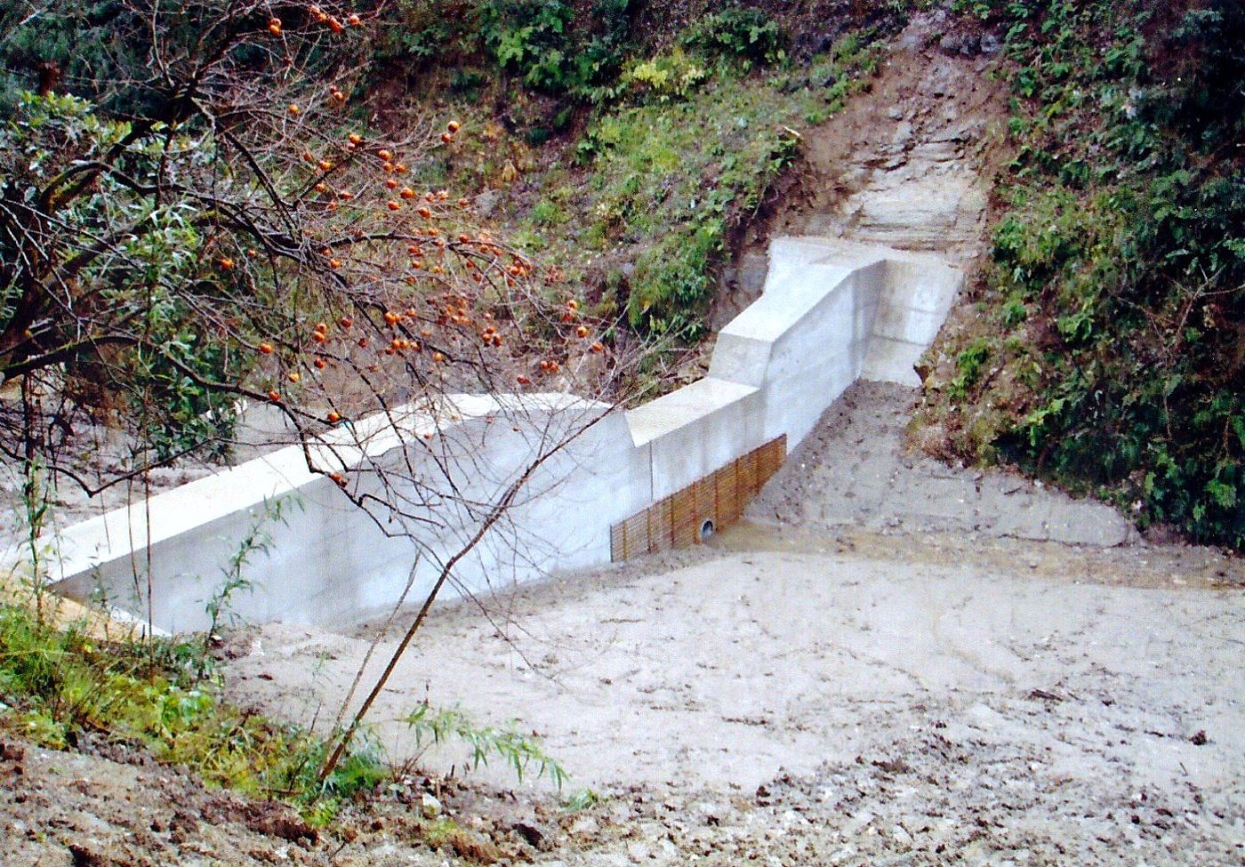 葛葉の谷に設けたコンクリートの治山施設